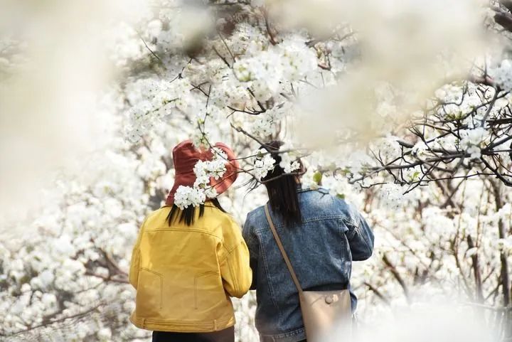 有一种生活叫做云南的生活,有一种叫云南的生活原文