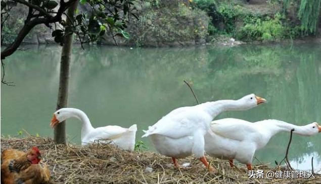 全国各地特色农产品汇总,全国地域特色农产品