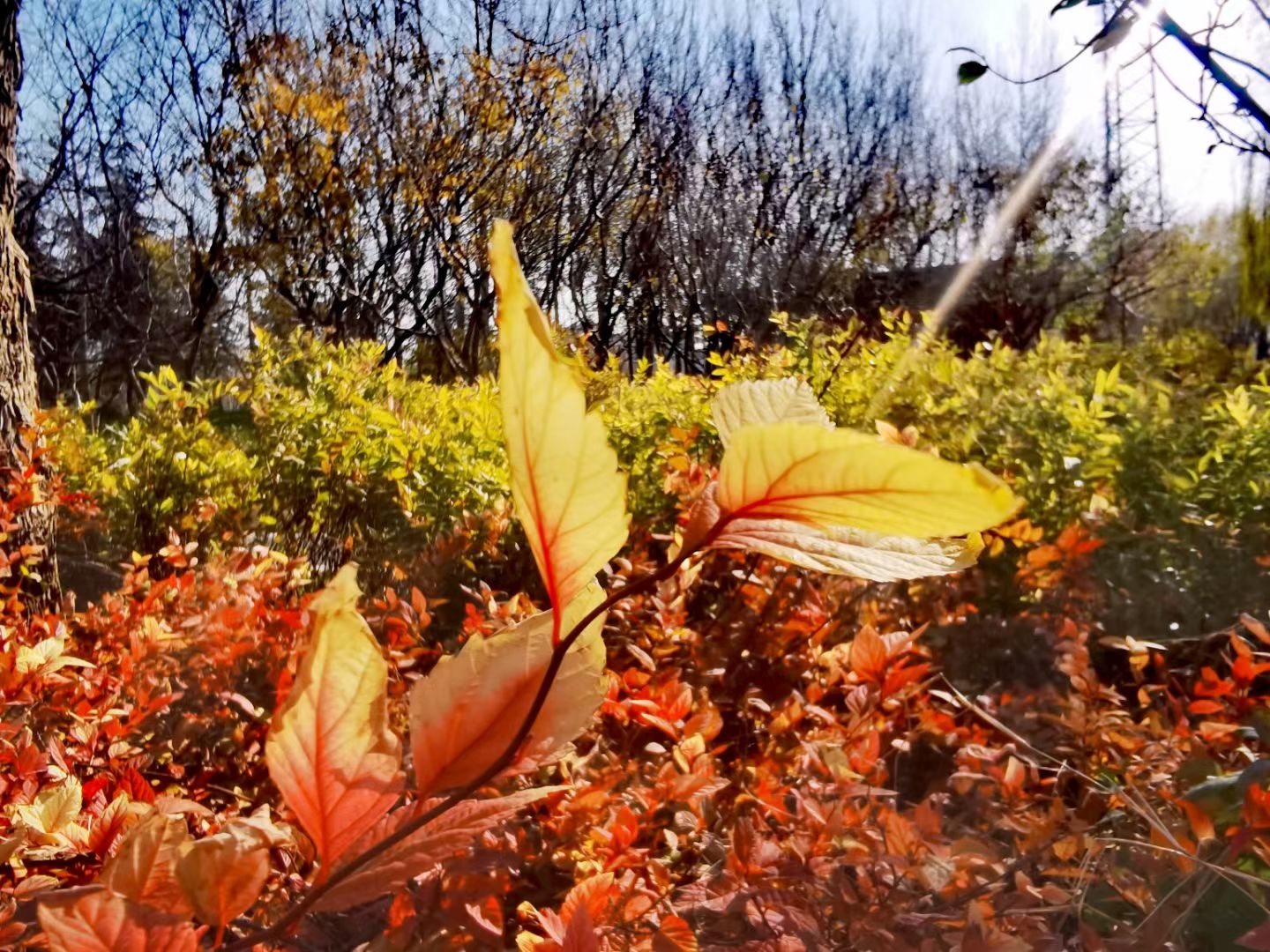 长期没有朋友的表现,身边没有朋友的人会怎样