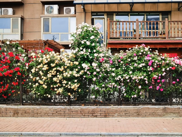 我花90万在儿子家附近买房子，以为晚年幸福了，可是很难见到儿子