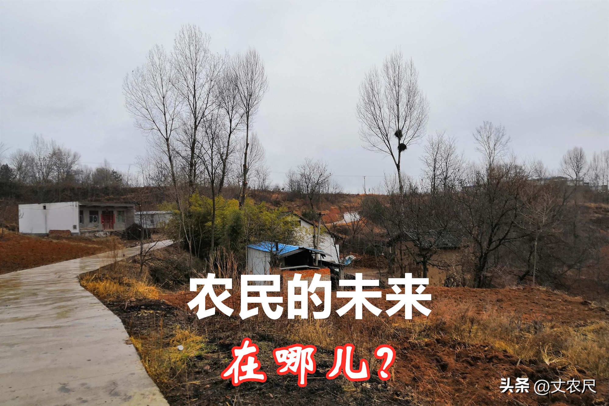 未来5年的农村前景,未来5年农村前景