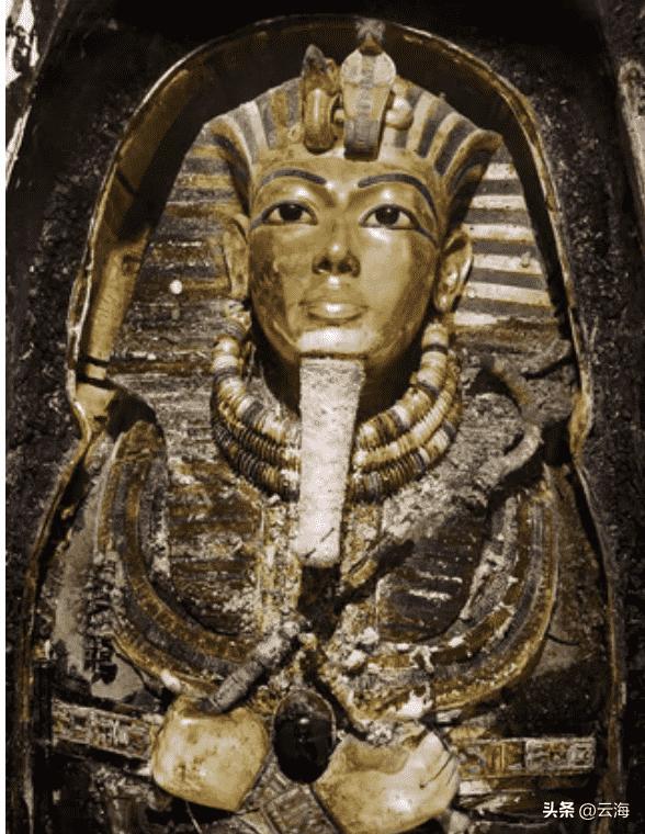 日本731部队的母爱实验,日本731部队母爱实验