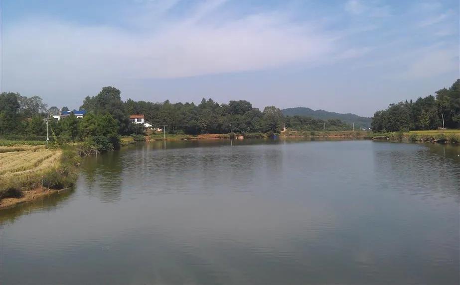 宁乡桃林镇,长沙市道林镇