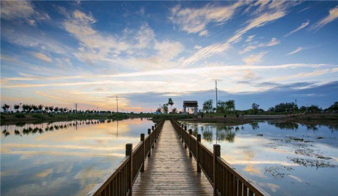 德州陵城区和齐河县,德州下县gdp排名
