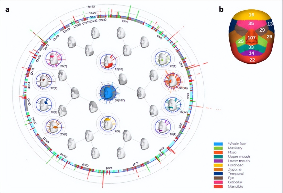 复旦团队发表研究成果,复旦大学最新科研消息