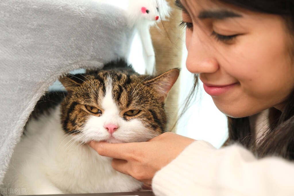 猫毛吸入肺部有什么危害,猫毛吸多了肺会怎样