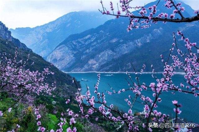 韦庄共写了几首菩萨蛮,韦庄最经典的10首诗词