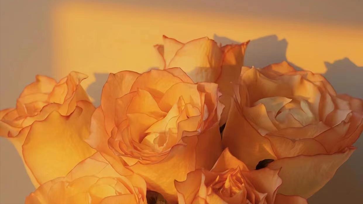 如何长时间学习,教你4个高效的学习方法19个技巧