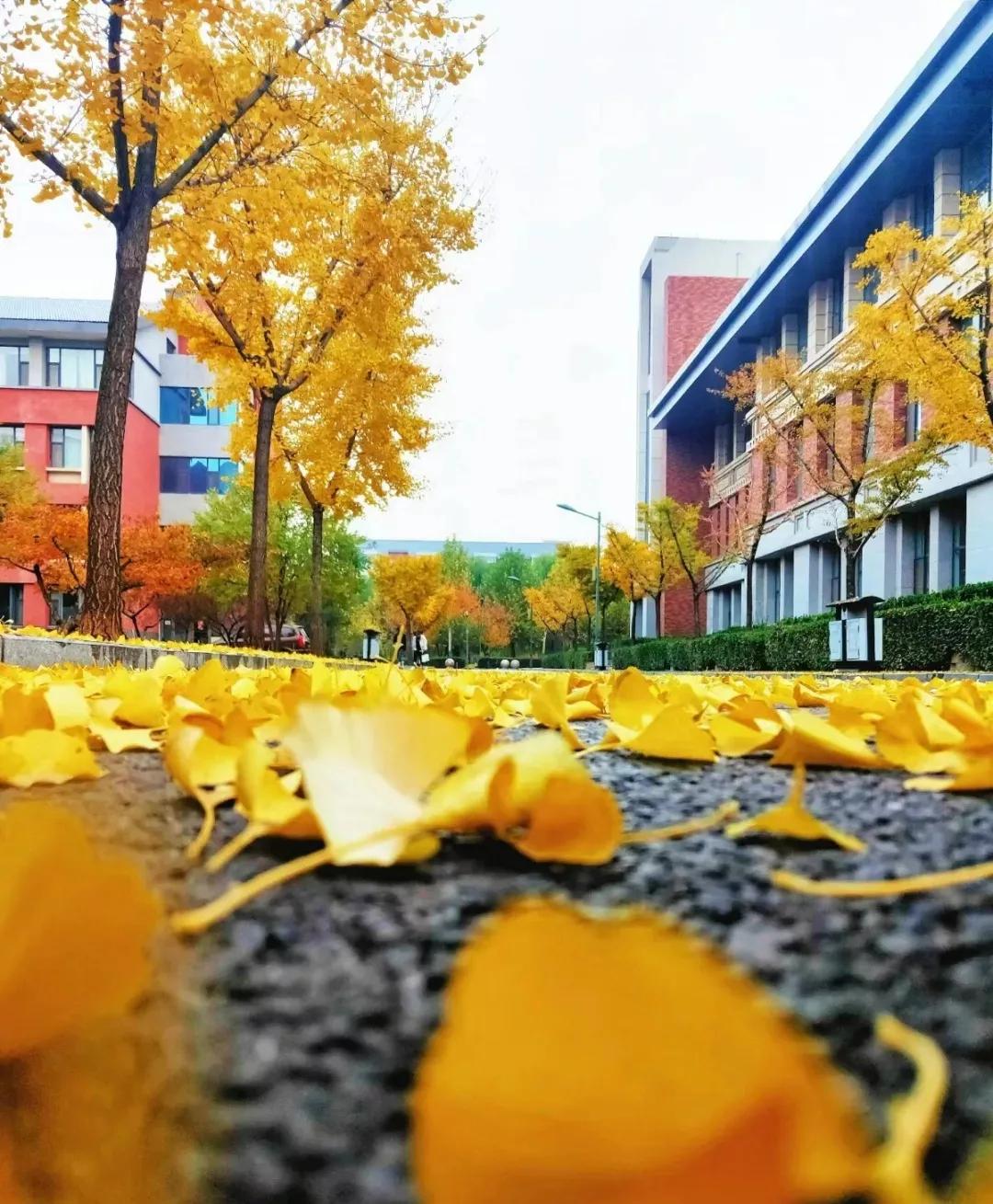 晋中学院有师范类专业吗,晋中学院机械系有什么专业