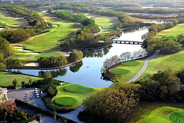 盘点高尔夫球,高尔夫球的八大罪状