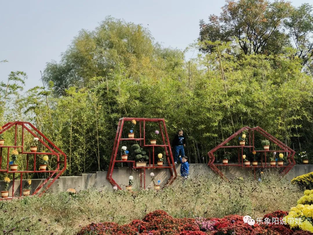 时间都去哪儿了小品完整版,时间都去哪儿了感悟