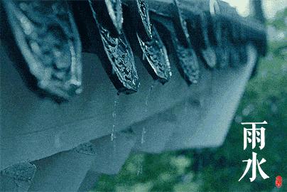 兔年最后一个节气,兔年日历节气