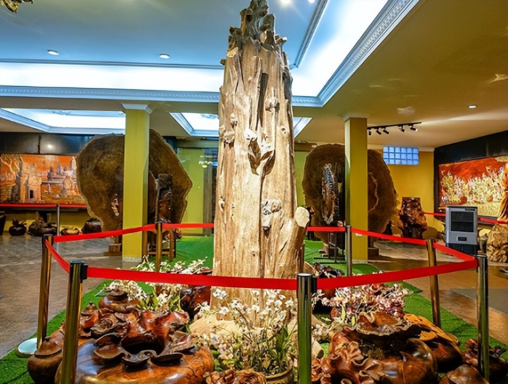 老挝最大的沉香,老挝的沉香是什么样的