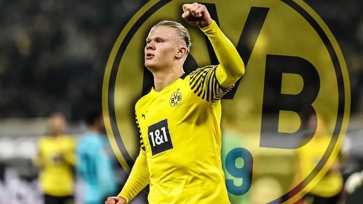 哈兰德中锋集锦,哈兰德强度排名