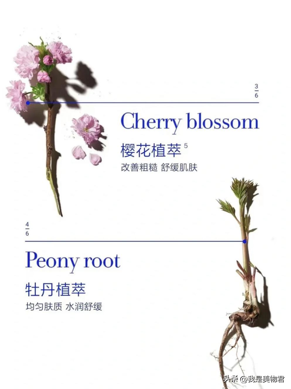 夏天敷补水保湿面膜,敷个面膜补补水分