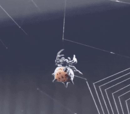 印度佛像真实照片,印度佛像原始图