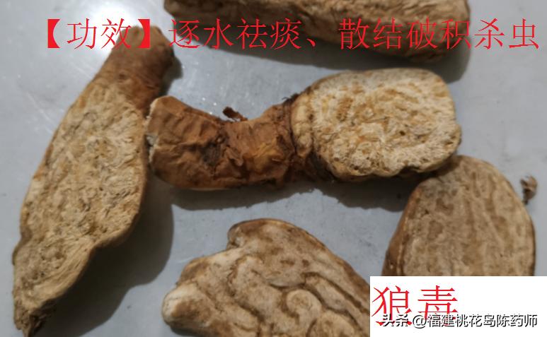 有毒的中药植物类药材,有毒的中药材