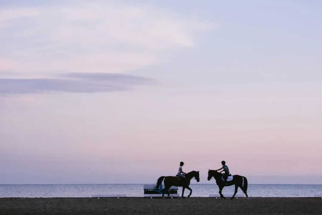 2023阿那亚系列夏令营|来海边过暑假，N多主题，自在探索，成长一夏