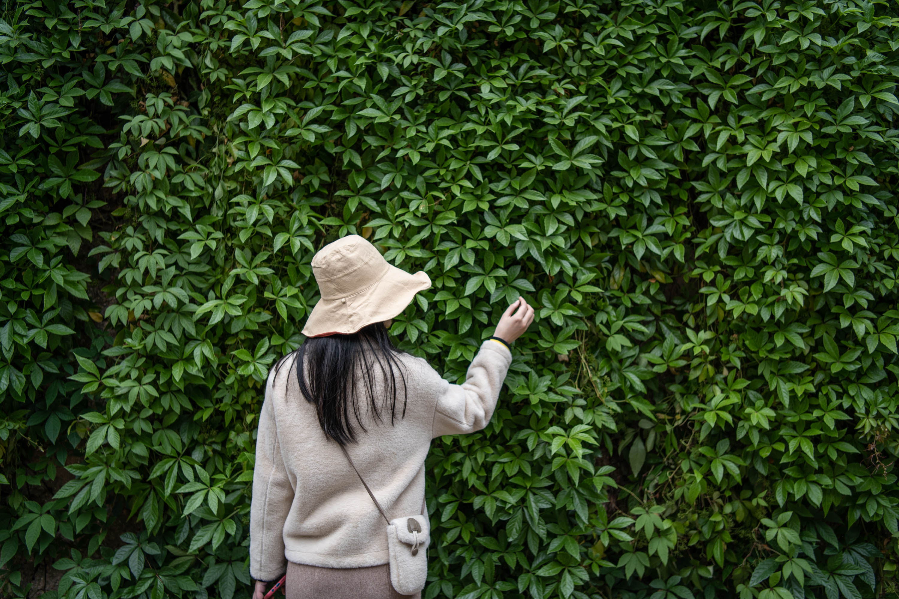 去云南跟团一日游攻略图片大全集,云南六日游跟团路线攻略大全