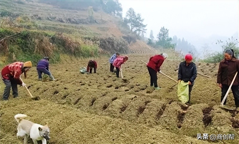 5万回农村做什么生意比较好,三年后回到老家做什么生意好