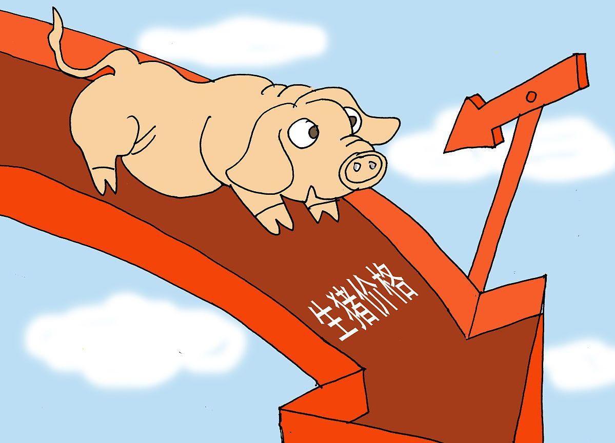 猪价“变脸”，多地跌势“点燃”，发生了啥？5月15日猪价！