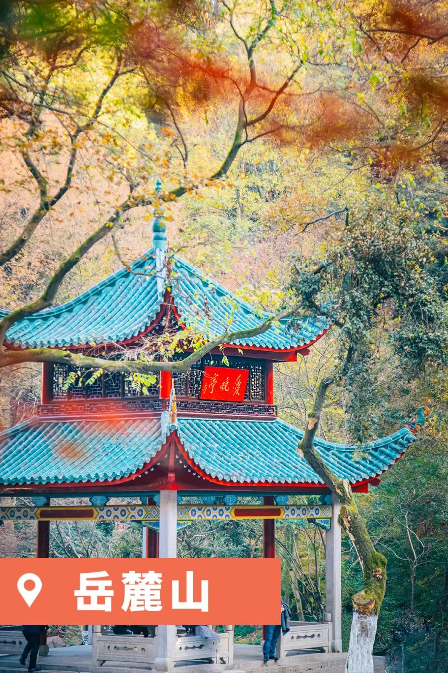 太原飞云南哪里最便宜,太原直飞的旅游城市有哪些