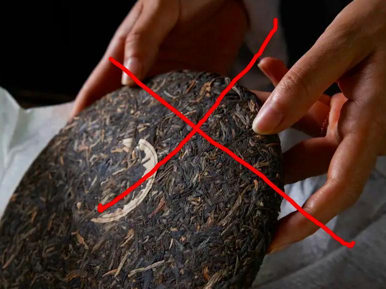 普洱茶碎末别丢,普洱茶千万不要煮着喝