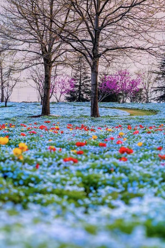 疫情隔离期，成就了一个高中孩子和母亲的和解