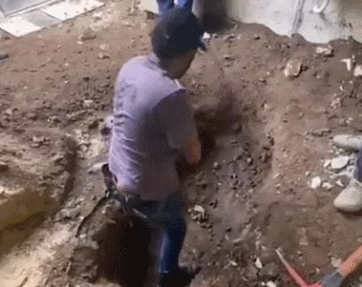 巴西男演员被杀,巴西男演员被埋