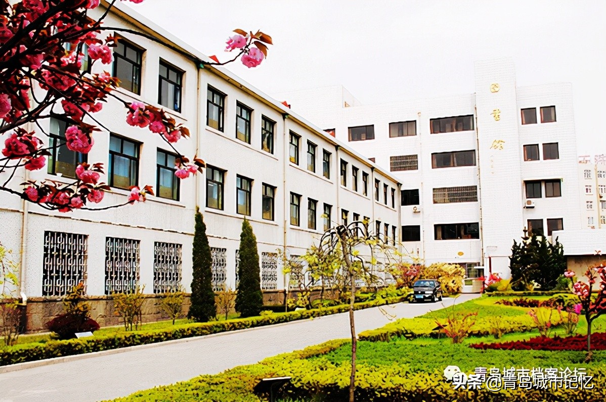 青岛第十五中学简介,青岛第十五中照片