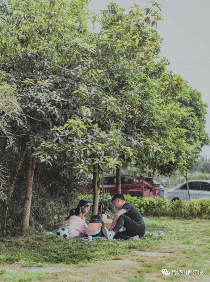 都江堰好玩的打卡地,好玩地方推荐适合带小孩都江堰