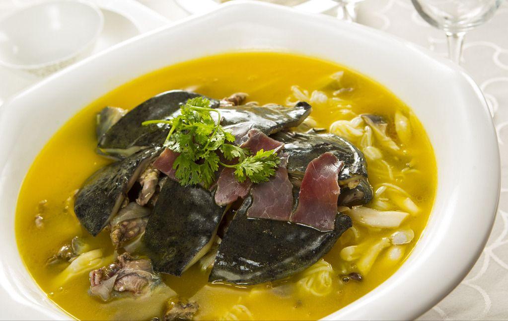 巴西龟是侵略物种吗,巴西龟泛滥成灾的危害