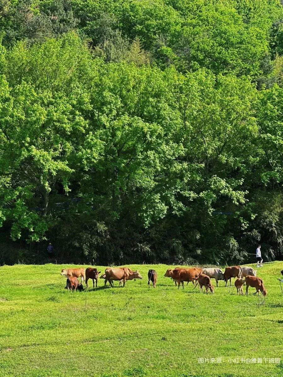 信阳罗山一日游攻略,信阳新县自驾游二日游攻略