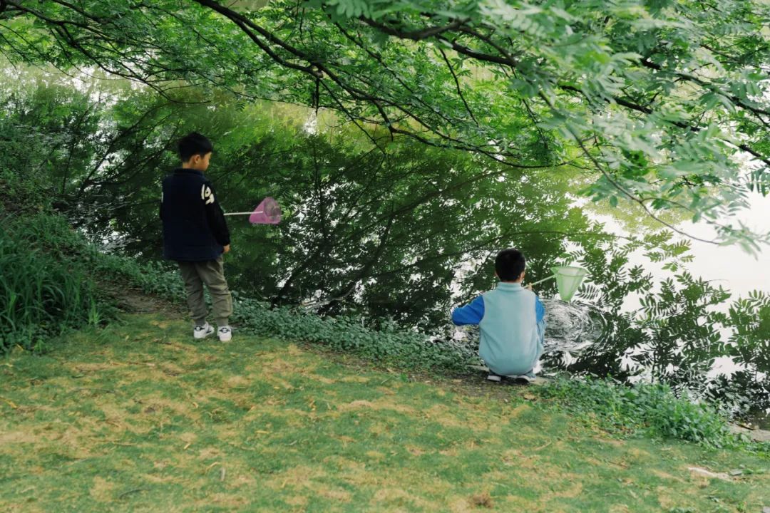 春天的潺潺溪水,春天的顶流