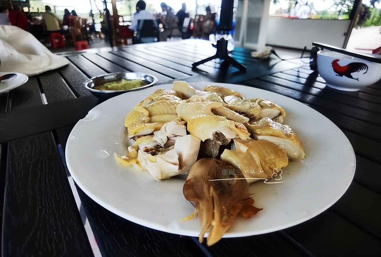 广州轮渡旅游攻略大全,广州旅游攻略必去的10个岛