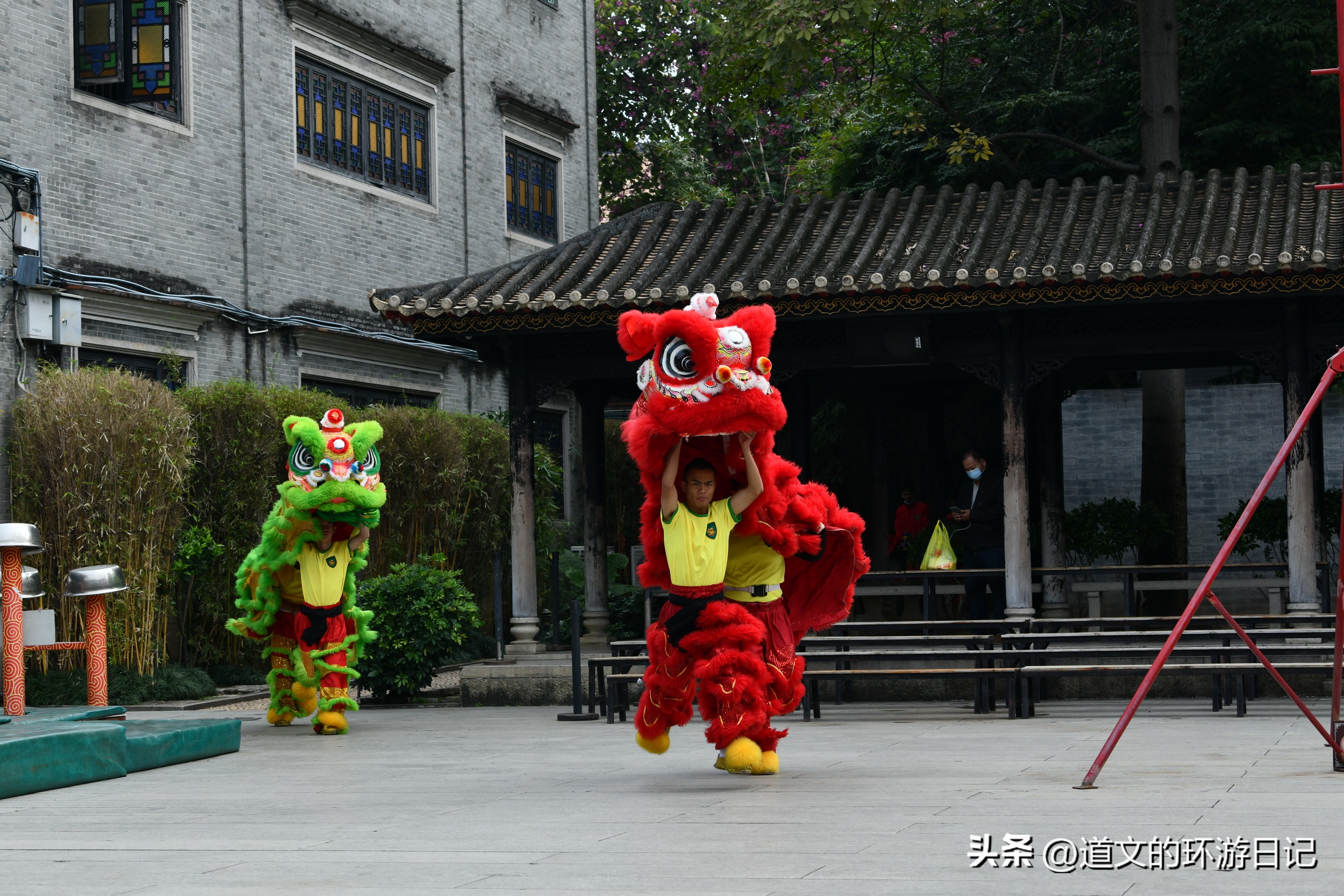 佛山黄飞鸿舞狮表演在哪里看,佛山黄飞鸿纪念馆舞狮表演感悟