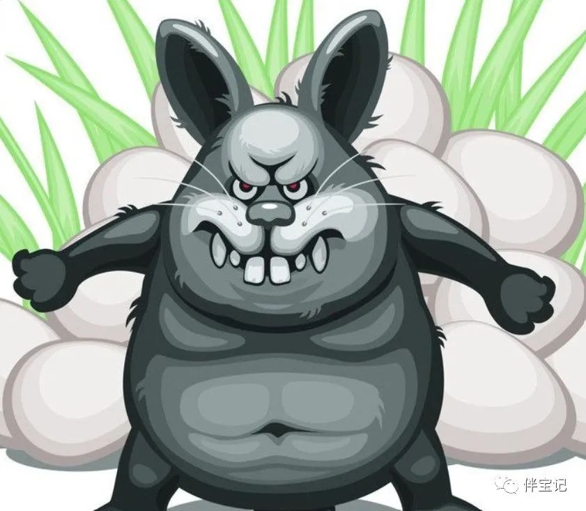 十二生肖中老虎和兔子的故事,十二生肖虎兔的故事