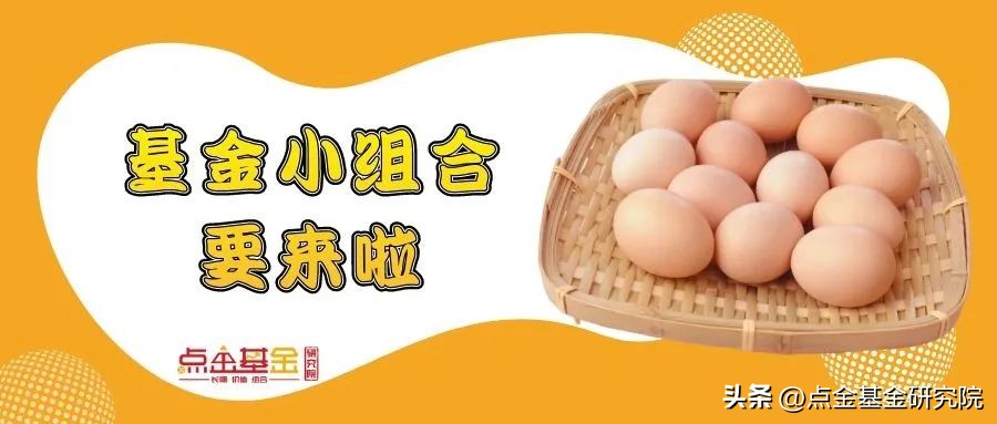 基金组合投资期权,基金组合投资app