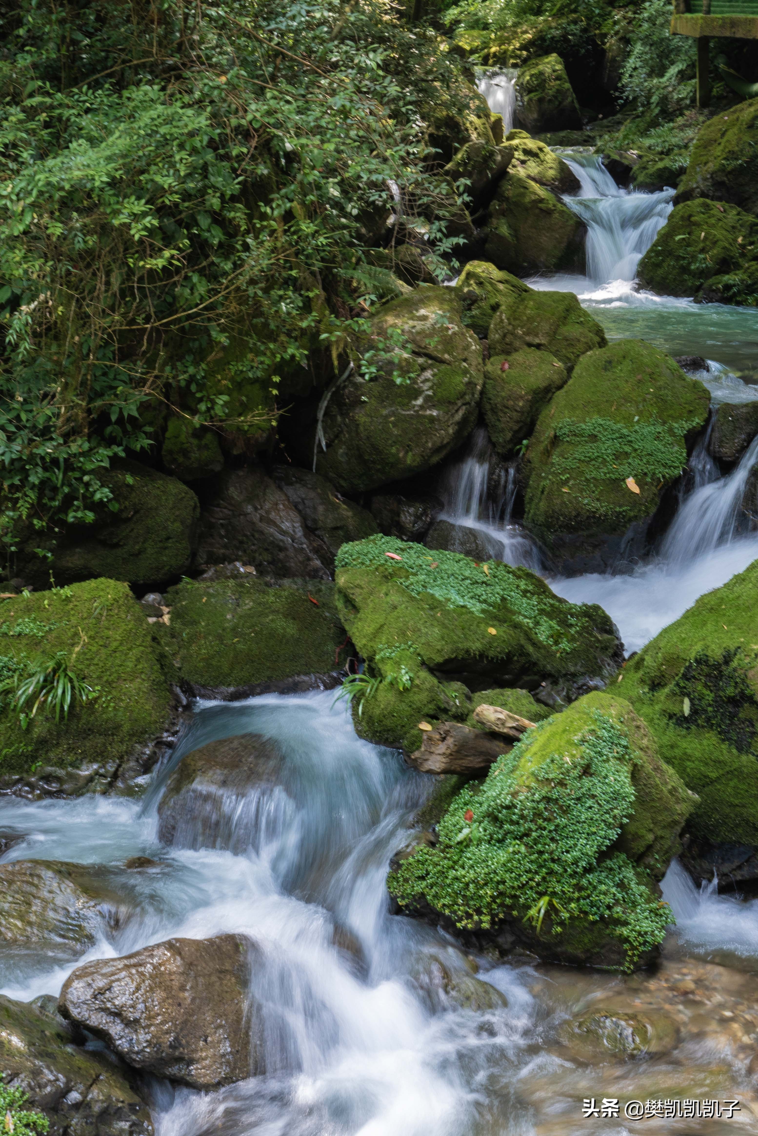 重庆露营避暑自驾7天,重庆适合露营漂流的地方