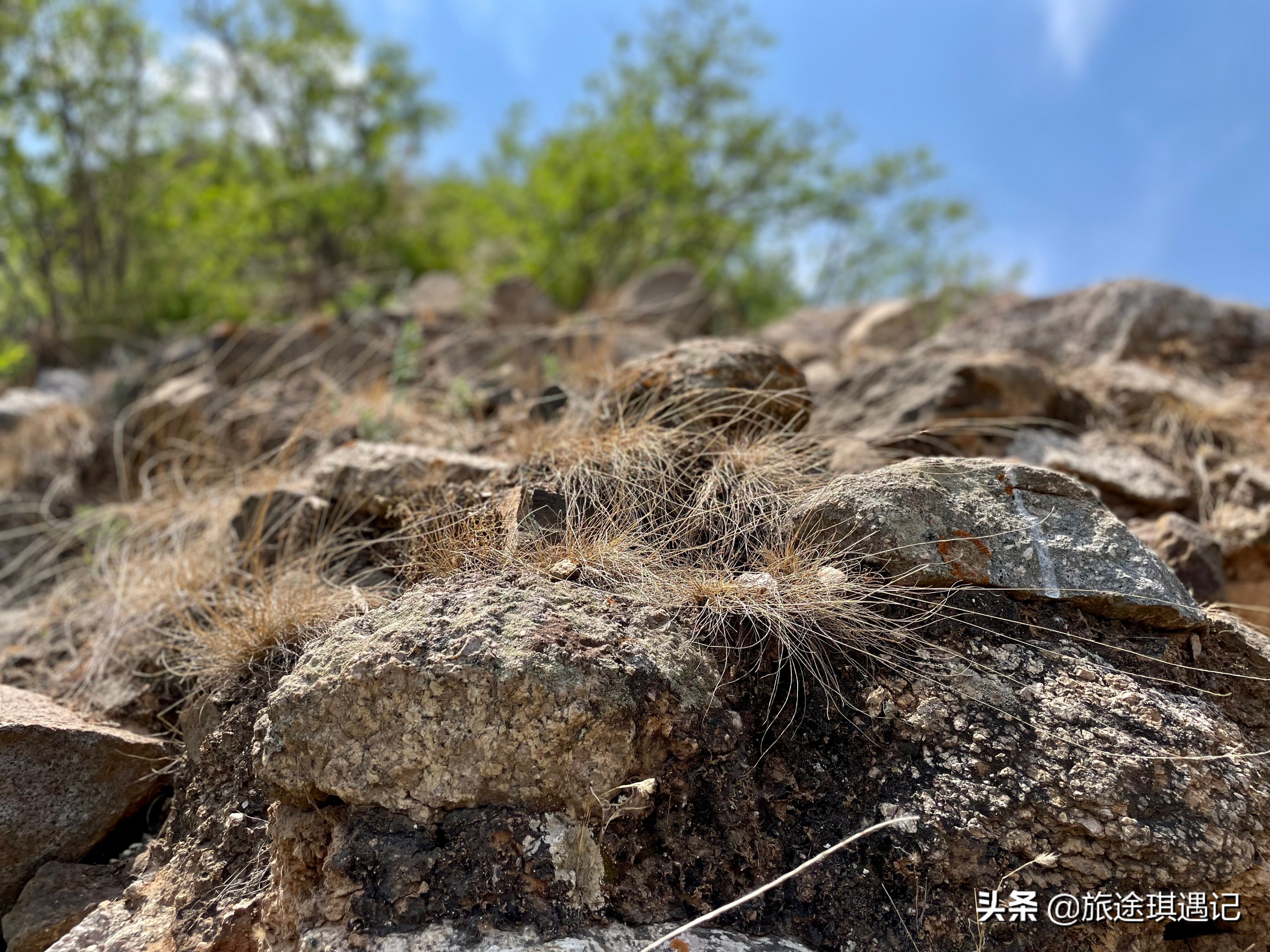 在保定也能感受边塞风情，十几个长城敌楼连成一片，让人大饱眼福