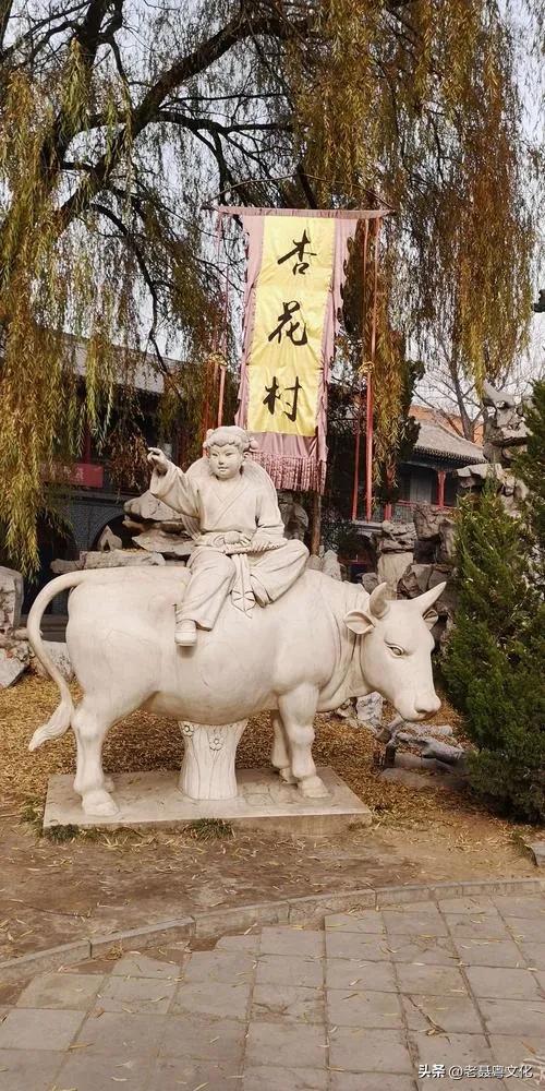 中国香港地名小掌故：杏花邨