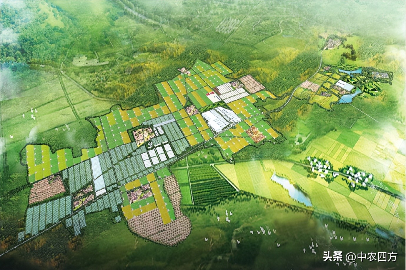 乡村振兴最新土地政策与拿地要点,乡村振兴产业规划2020-2035