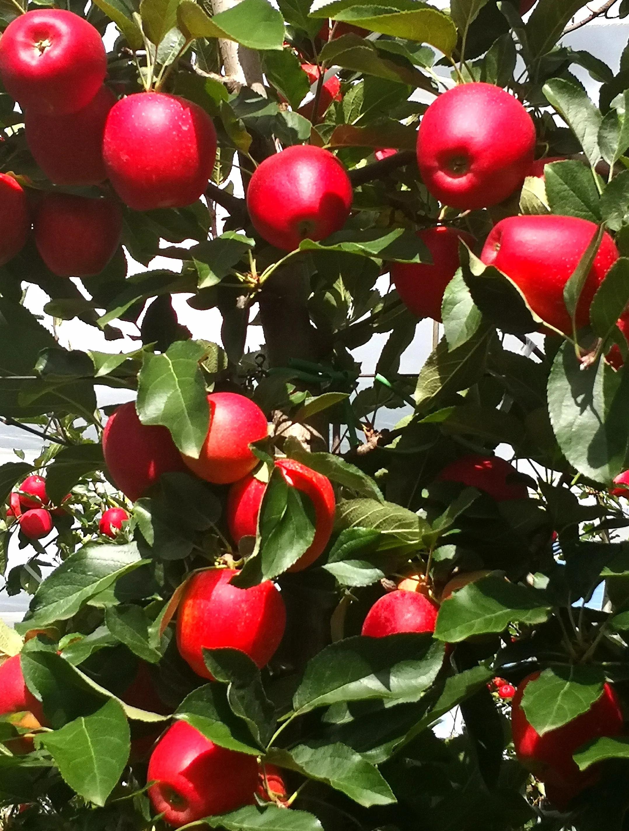 当一个科室主任要有的条件,当办公室主任要面临的问题