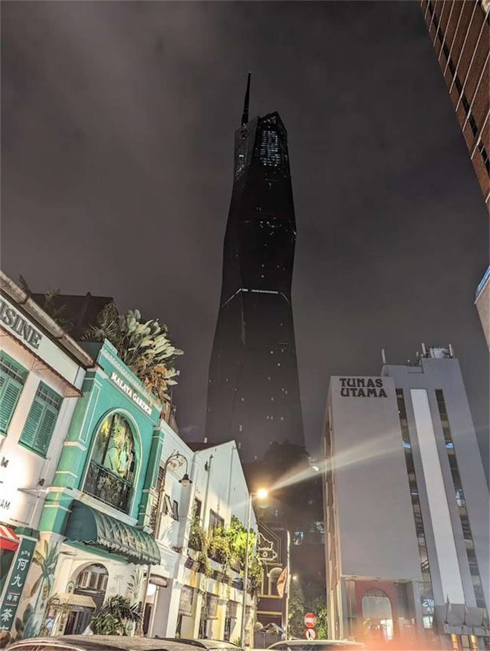 加蓬黑脸猩猩,加蓬长尾猴图片