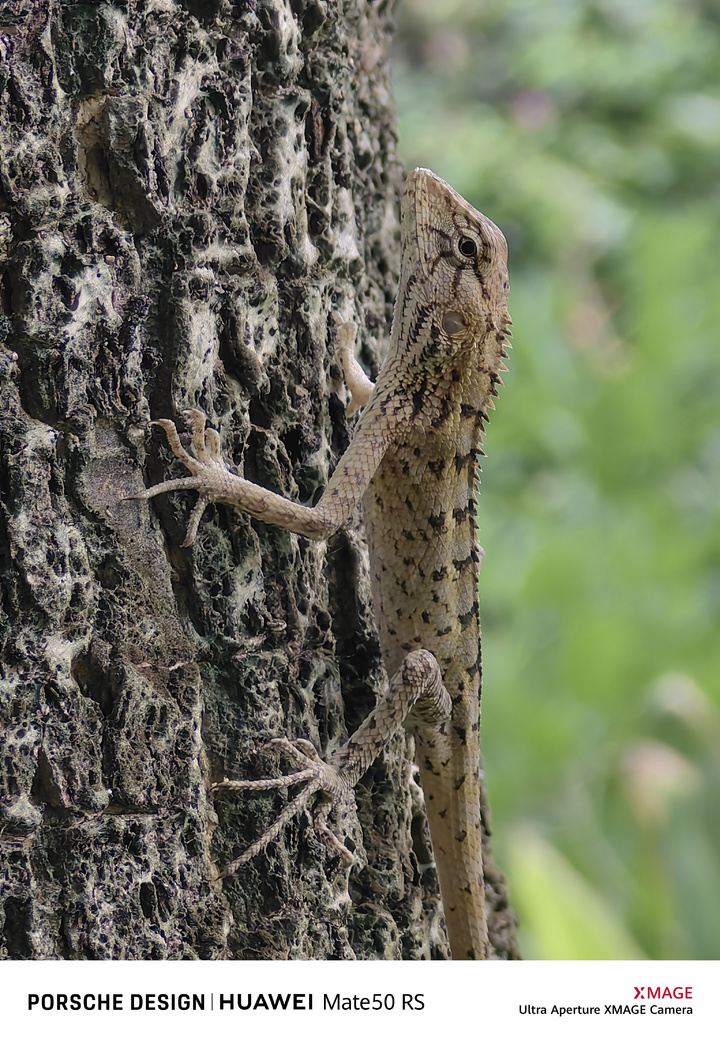 华为Mate50RS保时捷设计体验：生而峥嵘的「少数产品」