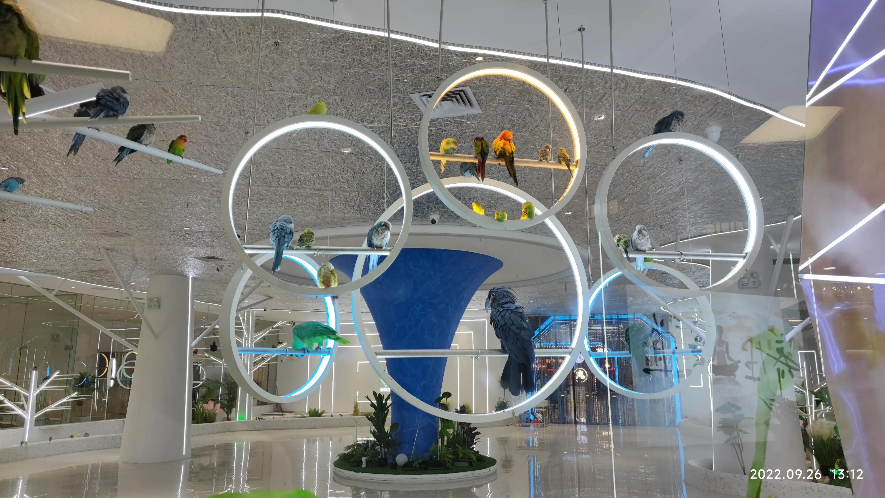 深圳宝安杉杉奥特莱斯最新活动,宝安松岗杉杉奥特莱斯