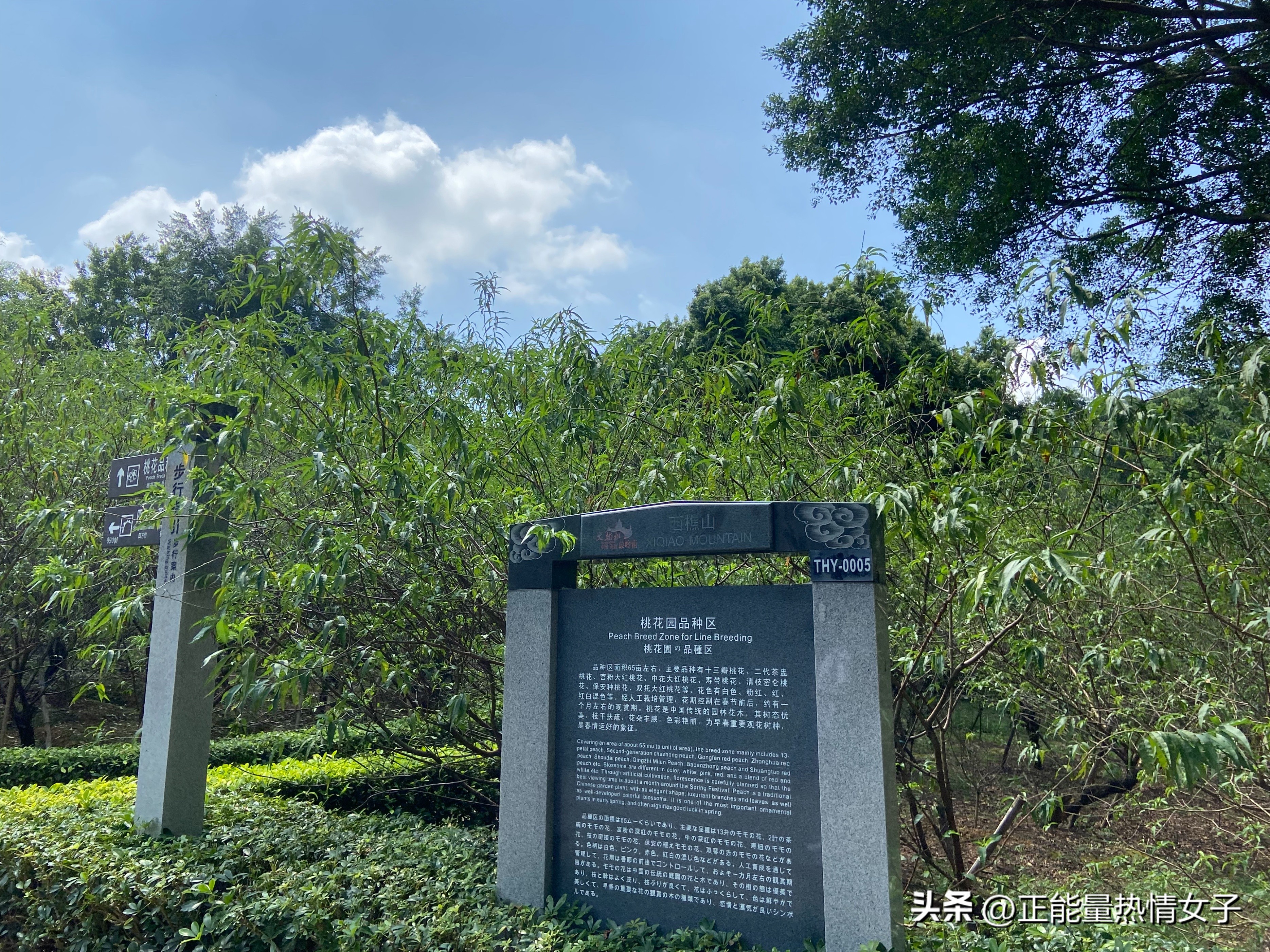 黄飞鸿故乡西樵,祖庙游玩攻略黄飞鸿