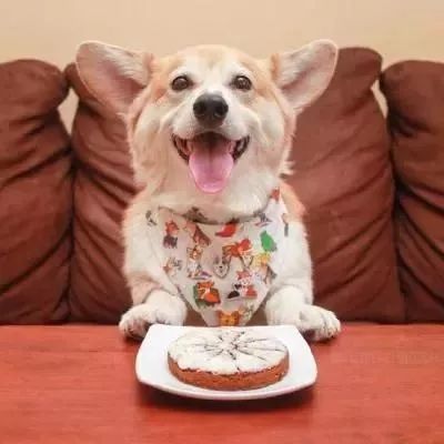 闺蜜cp头像二人一起,既是闺蜜头像又是情侣头像可保存