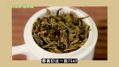 大益7542茶2020,2020年大益7742生茶20g茶样品鉴装