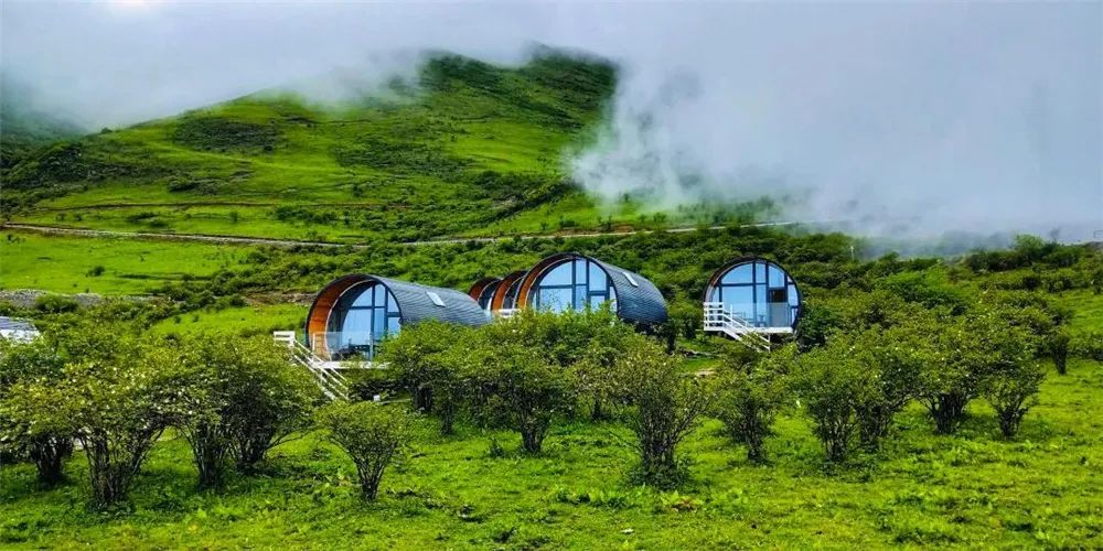 来雅安去哪玩最好玩,夏天去雅安旅游怎么样